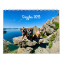 Search for puggle Dog