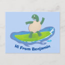 Search for funny turtles postcards Cartoon