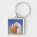 Search for pictures of shells key rings Nautical