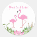Search for baby flamingo stickers Pink and green