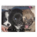 Search for pomeranian calendars Pets