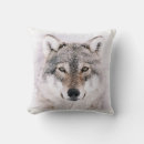 Search for painted wolf Nature