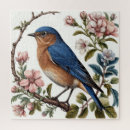 Search for bluebird puzzles Wildlife