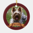 Search for black cat christmas tree decorations Buffalo plaid