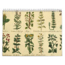 Search for vintage botanical calendars Flowers
