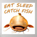 Search for catfish posters River