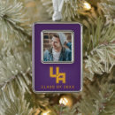 Search for license plate christmas tree decorations Ualbany great danes