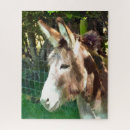 Search for donkey puzzles Cute