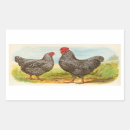 Search for vintage chickens stickers Nature