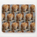 Search for dog picture mousepads Cat
