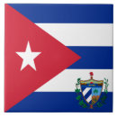 Search for coat tiles Flag
