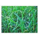 Search for photo tablecloths Summer