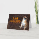 Search for bah humbug cards Dog