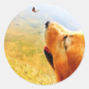Search for life is beautiful stickers Beauty