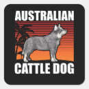 Search for queensland stickers Australian cattle dog