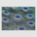 Search for feather tissue paper Colourful