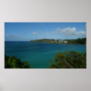 Search for lucia posters Tropical