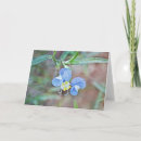 Search for macro flower cards Blue