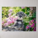Search for schnauzer art Standard