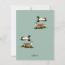 Search for ducks postcards Water