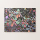 Search for fall foliage puzzles Leaves