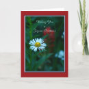 Search for daisy christmas cards Flower