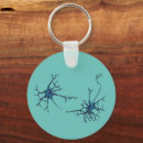 Search for neuron key rings Neurology
