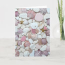 Search for shell pictures cards For her
