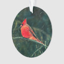 Search for red cardinal bird christmas tree decorations Wildlife