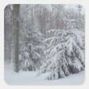 Search for snow storm stickers Trees