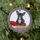 Search for ribbon christmas tree decorations Dog
