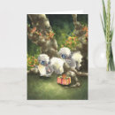 Search for skunk birthday cards Animals