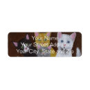 Search for kitten return address labels Animals