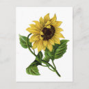 Search for ceramic postcards Flower