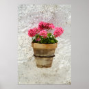 Search for flower pot posters Plant