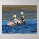 Search for pairs posters Nature
