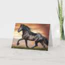 Search for black horse cards Horses