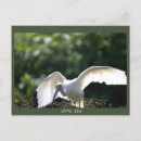 Search for spreading postcards Animals