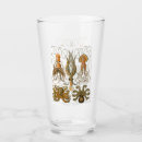 Search for squid mugs Steampunk