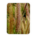 Search for macro home living Grass