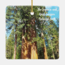 Search for king of kings the christmas tree decorations Sequoia