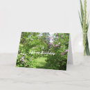 Search for bush cards Nature