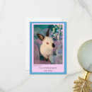 Search for funny bunny cards Rabbit