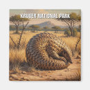 Search for kruger national park Nature