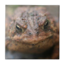 Search for toad tiles Frog