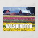 Search for washington state cards Flower