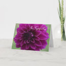 Search for purple flower blank cards Garden