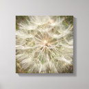 Search for macro canvas prints Nature