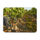 Search for cropland magnets Farm