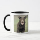 Search for motion picture mugs Vertical
